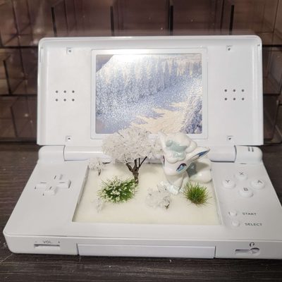 Vulpix DS Display